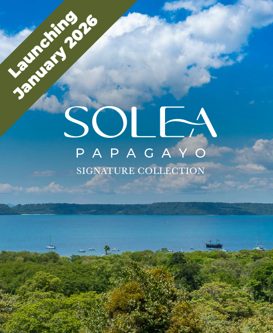 Solea Papagayo